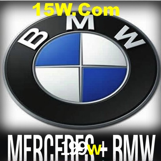 199w.com